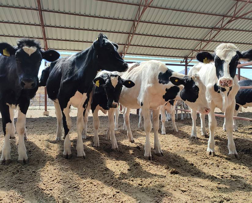 Kids coming out of a yellow school bus
