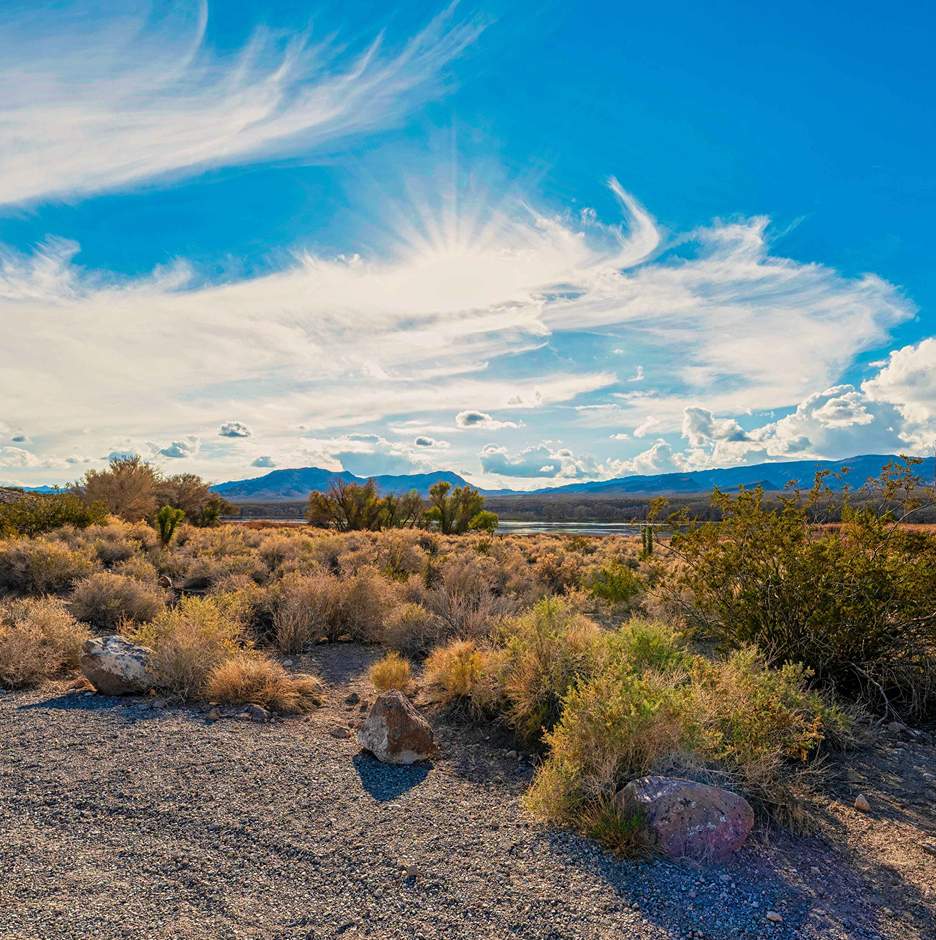 Desert landscape under a vibrant blue sky with whispy clouds. Sunlight brightly illuminates scrub bushes and rocks, with distant mountains on the horizon.